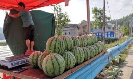 安溪网红吃瓜事件视频最新,揭秘背后真相与网络热议