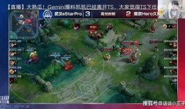 大爷直播爆料大全最新,大爷直播爆料大全深度解析